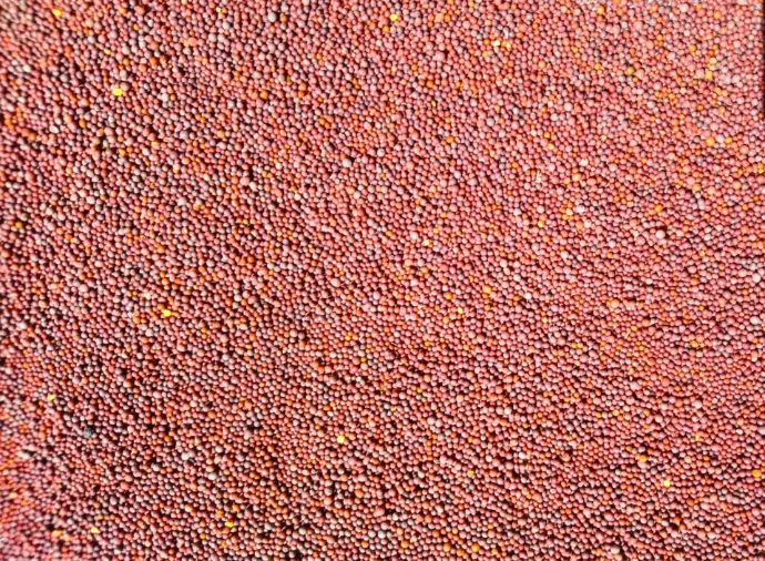 brown and black concrete floor